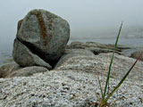 Tony G. photo of rocks on seashore