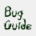 Bug Guide – אתר חרקים אמריקאי מצוין