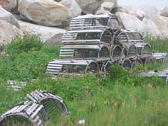 Lobster Traps