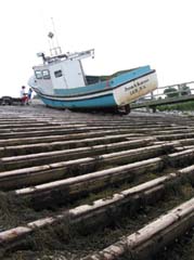 Boat on Steps